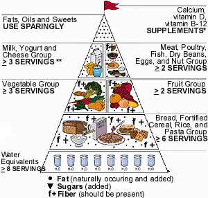 Modified Food Pyramid for 70+ Adults