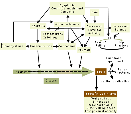 Causes of Frailty