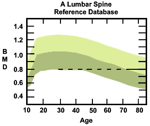 Lumbar Spine